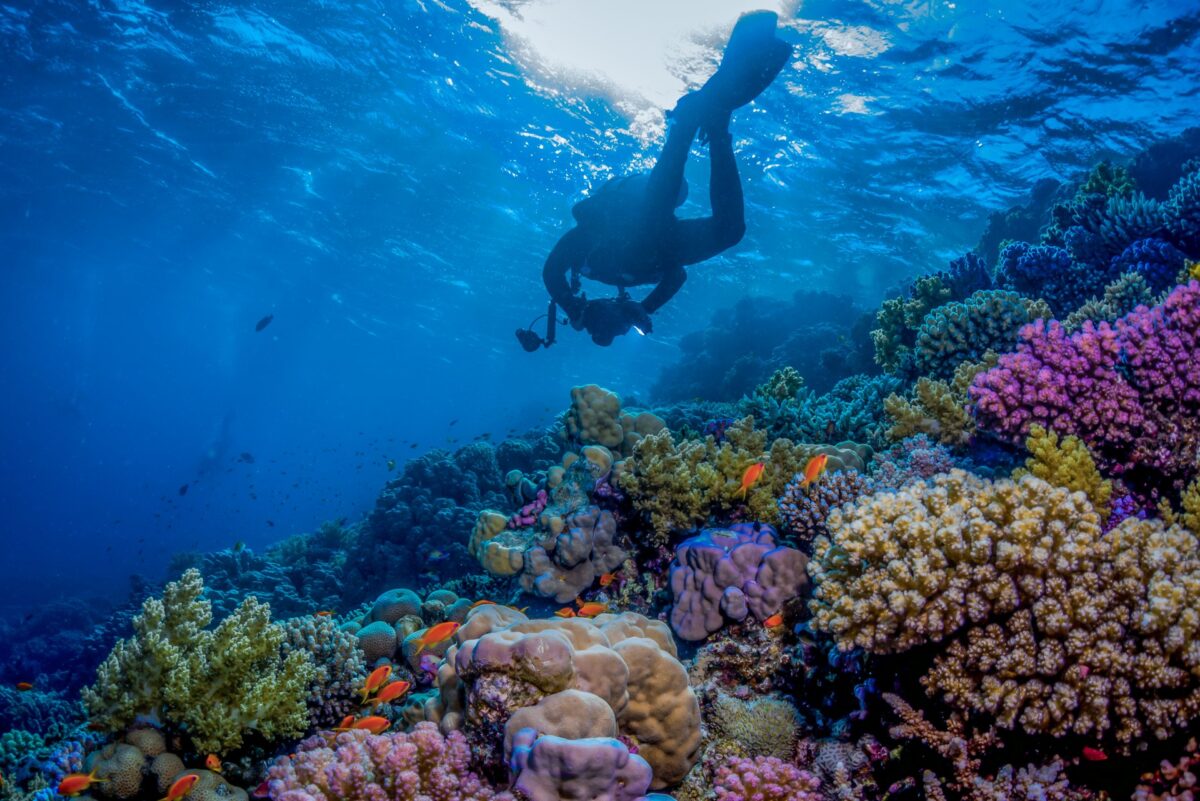 The Red Sea, Saudi Arabia