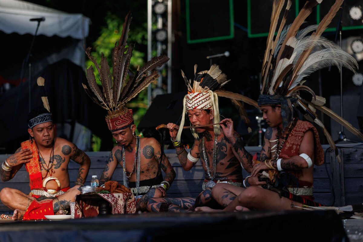 Rainforest World Music Festival 2024