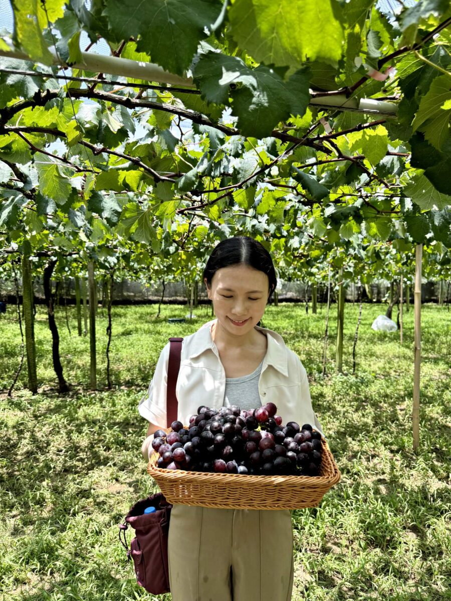 Shinfong Farm, Xinshe, Taichung