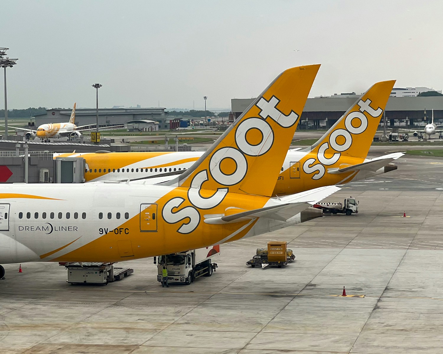 A yellow and white plane is parked at an airport
