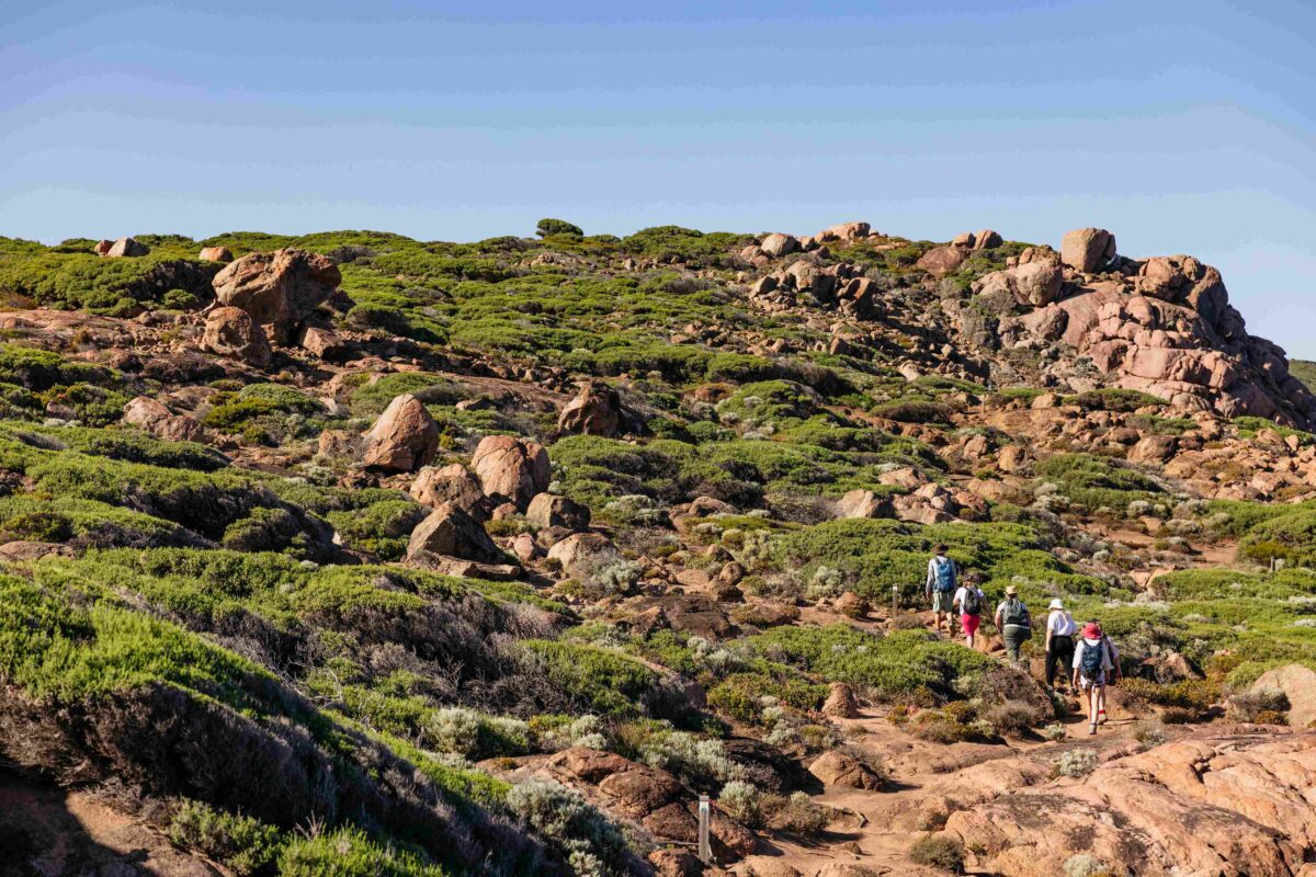 From Malaysia to Western Australia: Embark on a Scenic Road Trip of a Lifetime