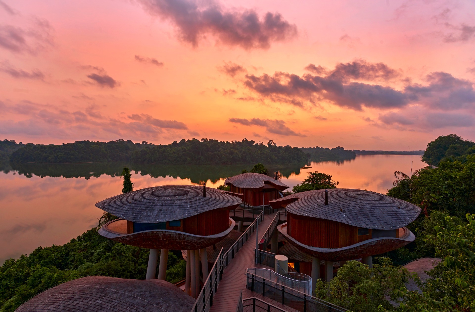 Designed to resemble the seed pods of the Purple Millettia (Callerya atropurpurea), these treehouses overlook the Upper Seletar Reservoir. Photo Credit to Mandai Rainforest Resort by Banyan Tree.