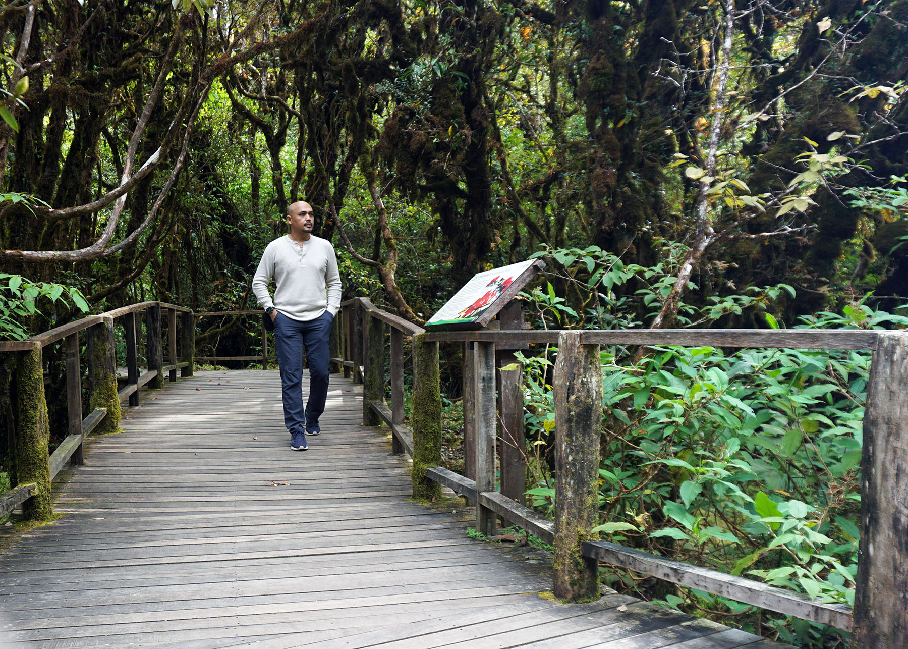 Well-constructed boardwalks and thoughtfully placed signboards guide the way, ensuring an effortless journey