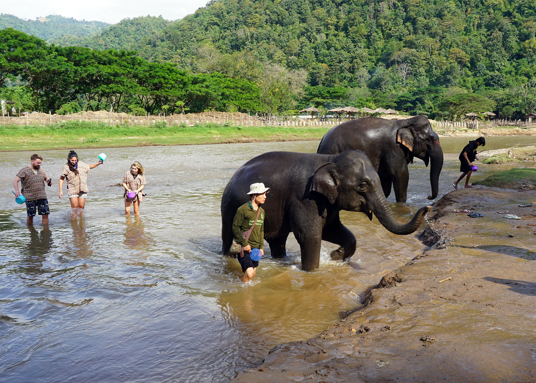 Chang Thai Heritage’s mission is to offer a sanctuary for elephants, provide free medical care, and promote long-term sustainability. Photo: Ed Junaidi.