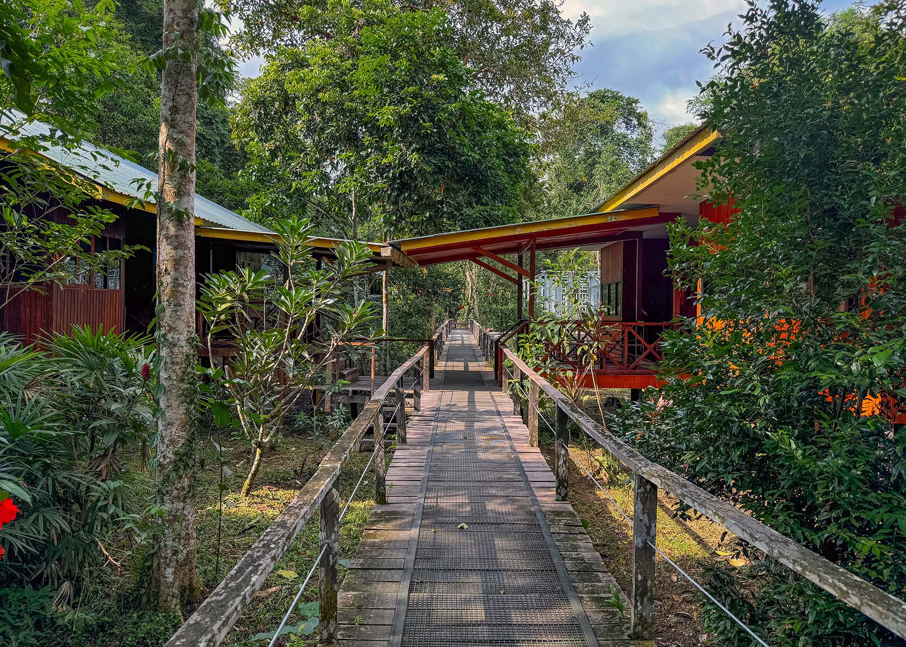 Bilit Adventure Lodge invites guests to embrace natural environment and wildlife roaming free. Photo: Ed Junaidi/Gaya Travel Magazine