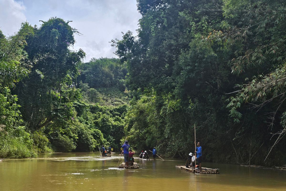 Bamboo rafting along the Klong Sok River at