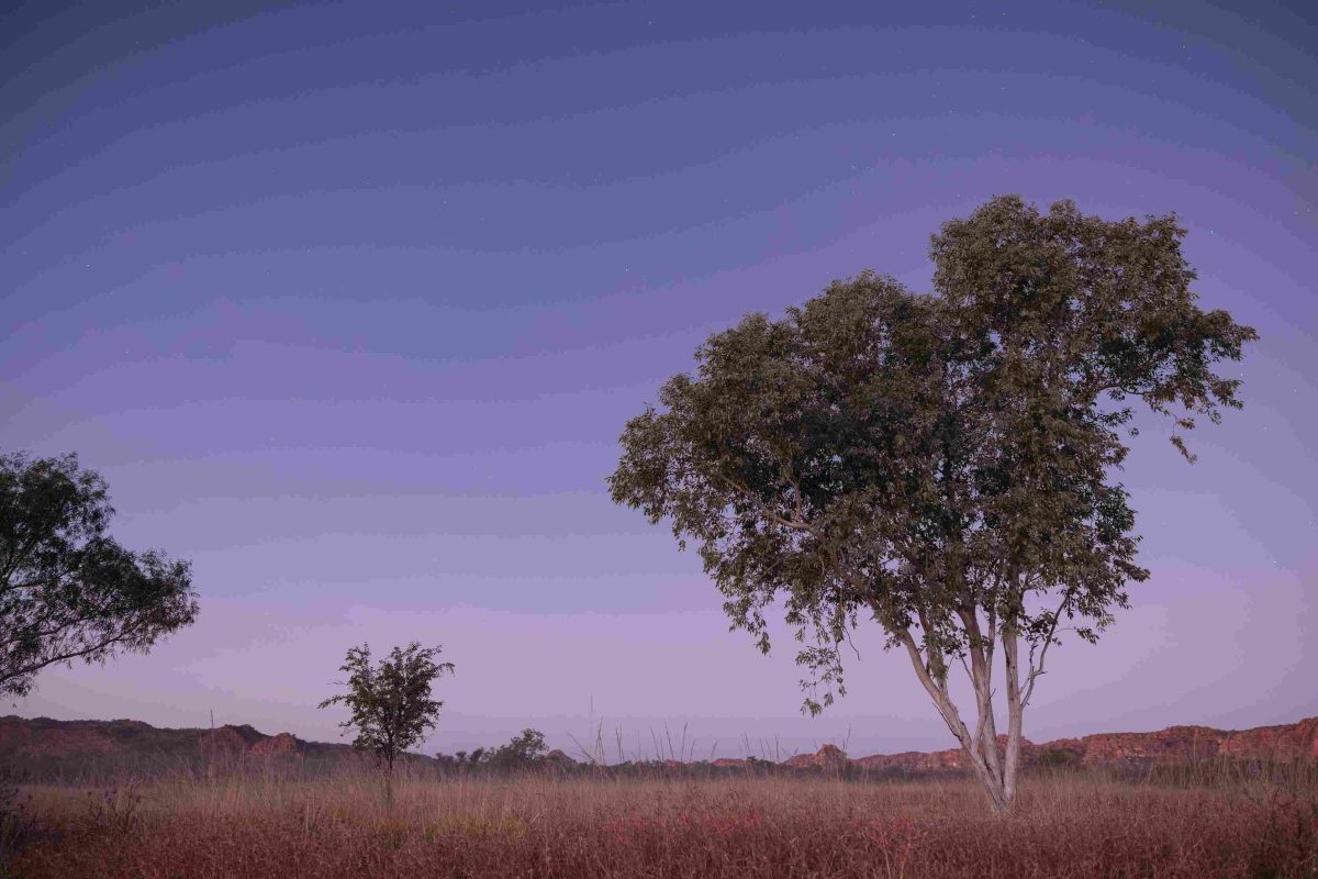 Western Austrlia's Kununurra