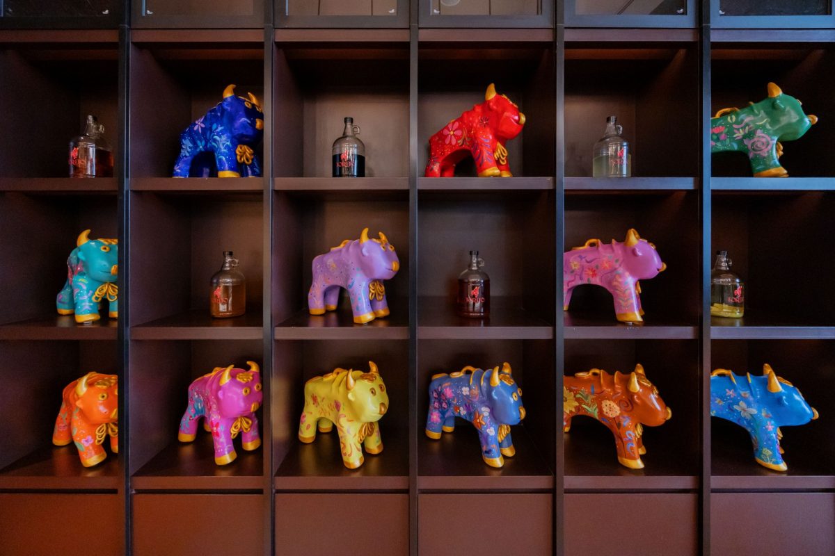 Torito Image © All Is Amazing.
