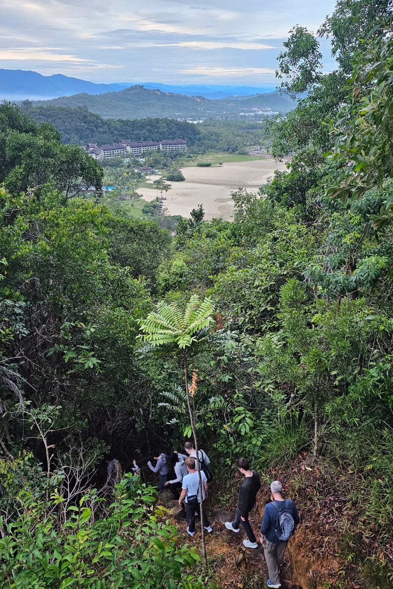descend the nature