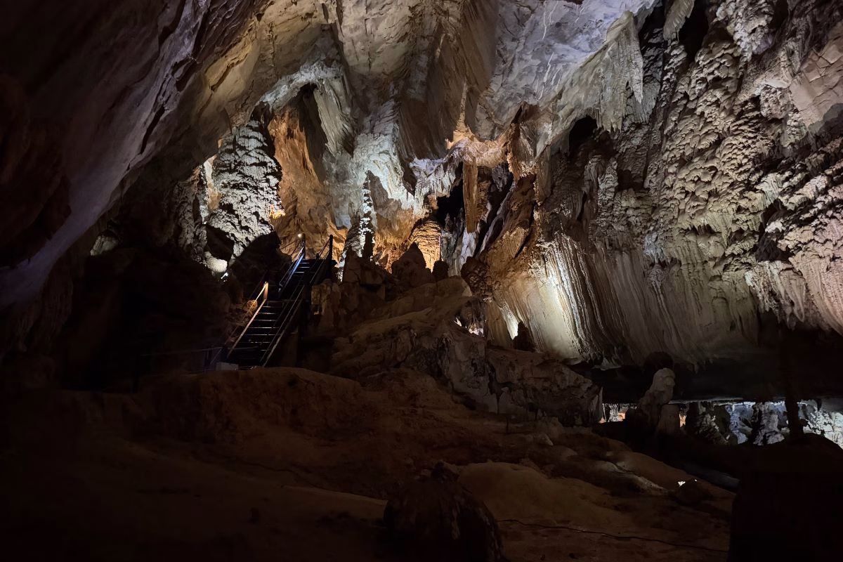 Langs cave