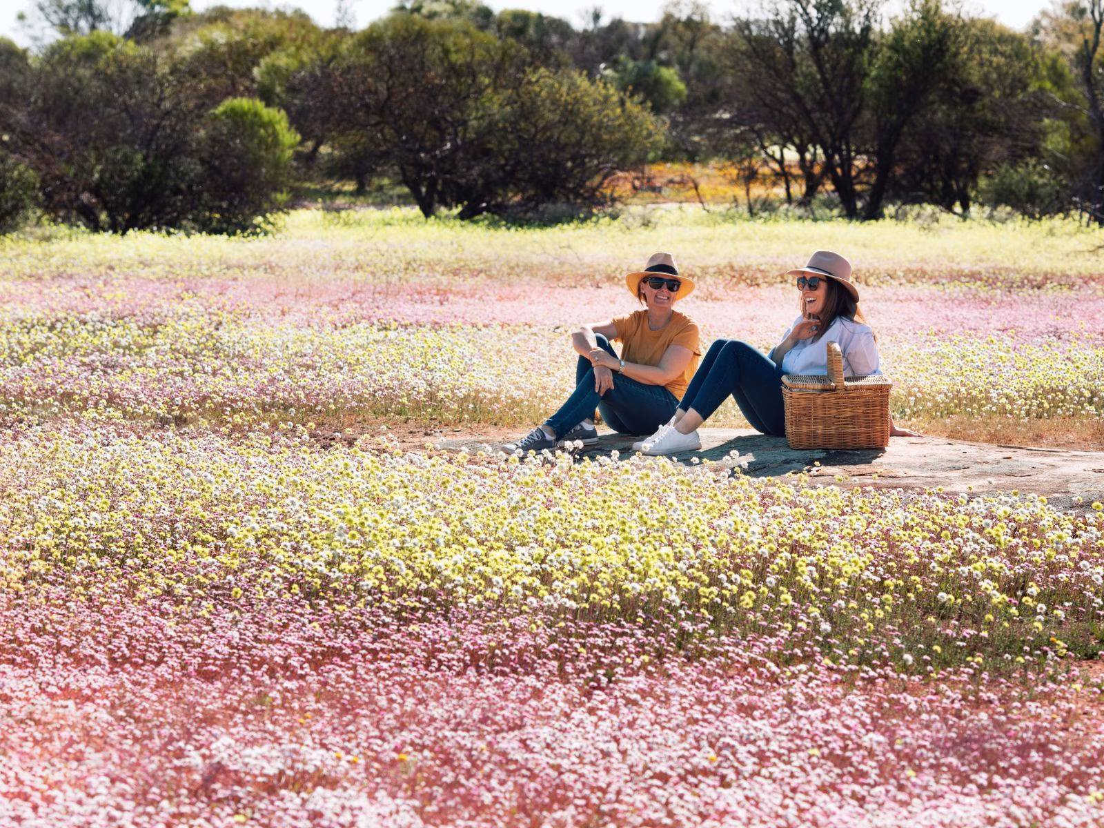 Wildflowers, Canna Reserve
