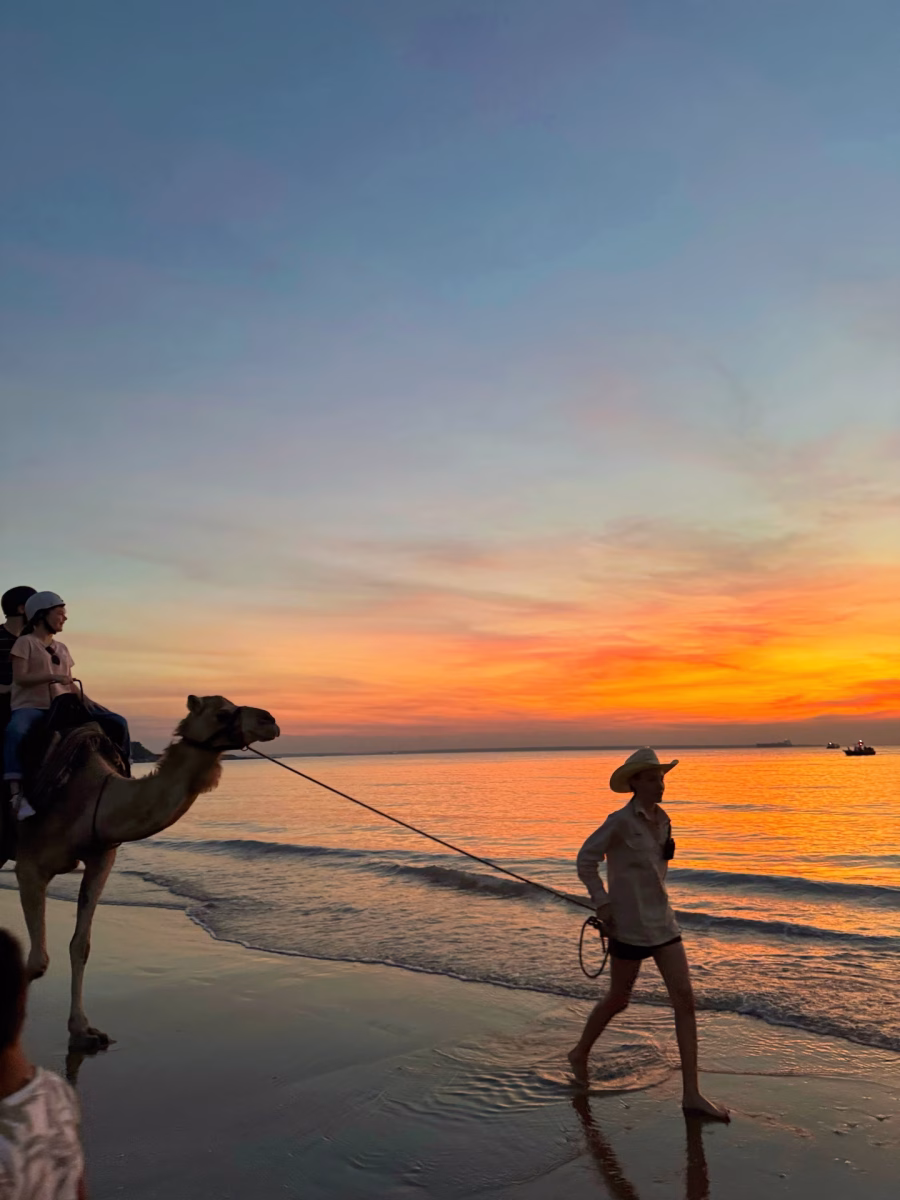 Darwin Camel Rides