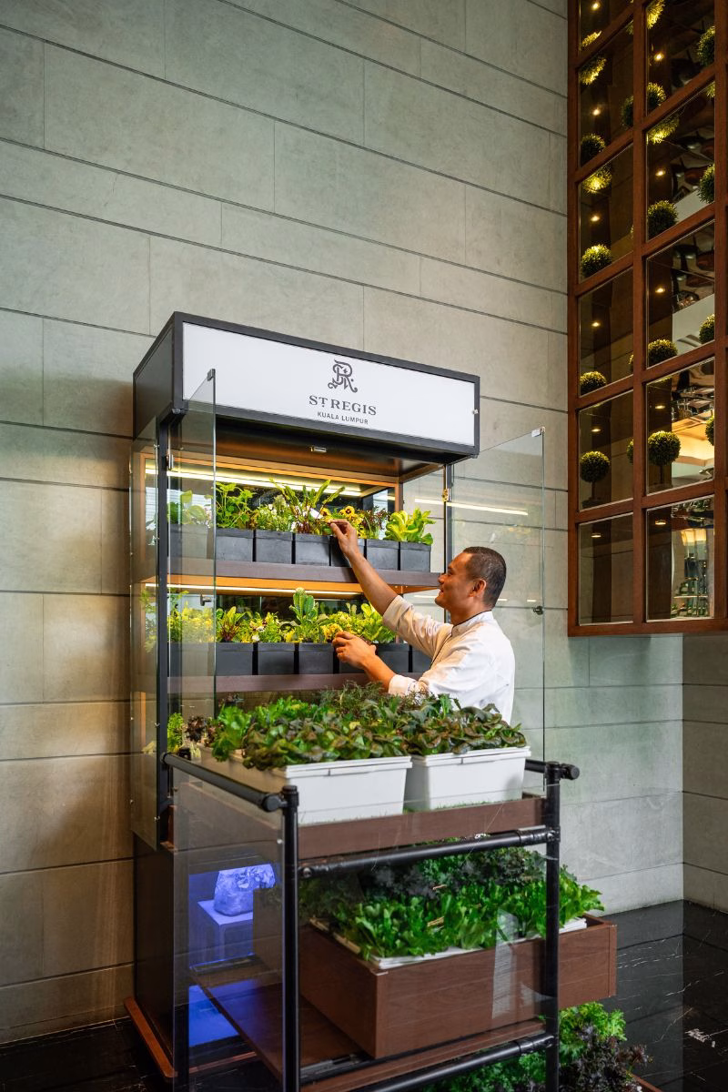 Salad On Wheels