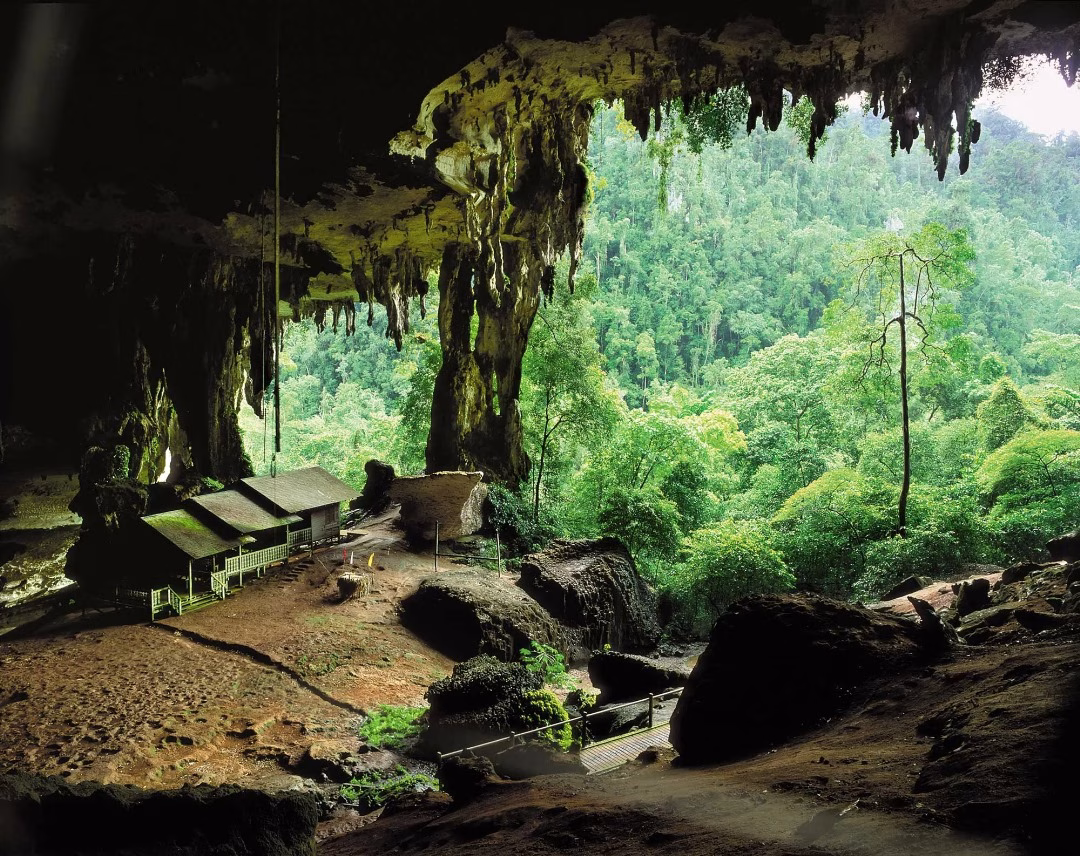 Sarawak: A Living Tapestry of Sustainable Transformation