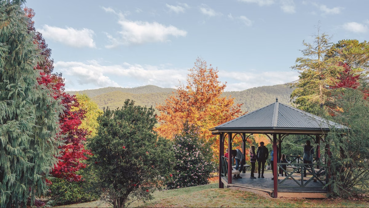 Jamieson & Beechworth