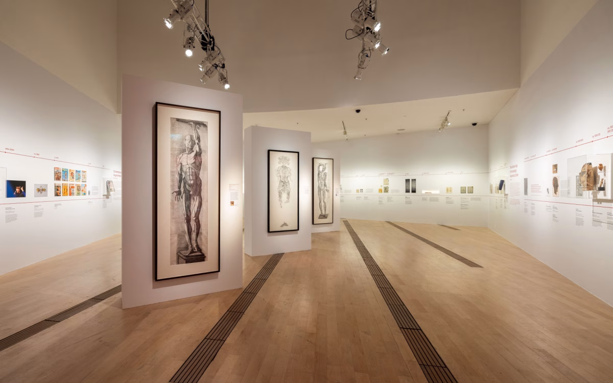 Flesh and Bones: The Art of Anatomy