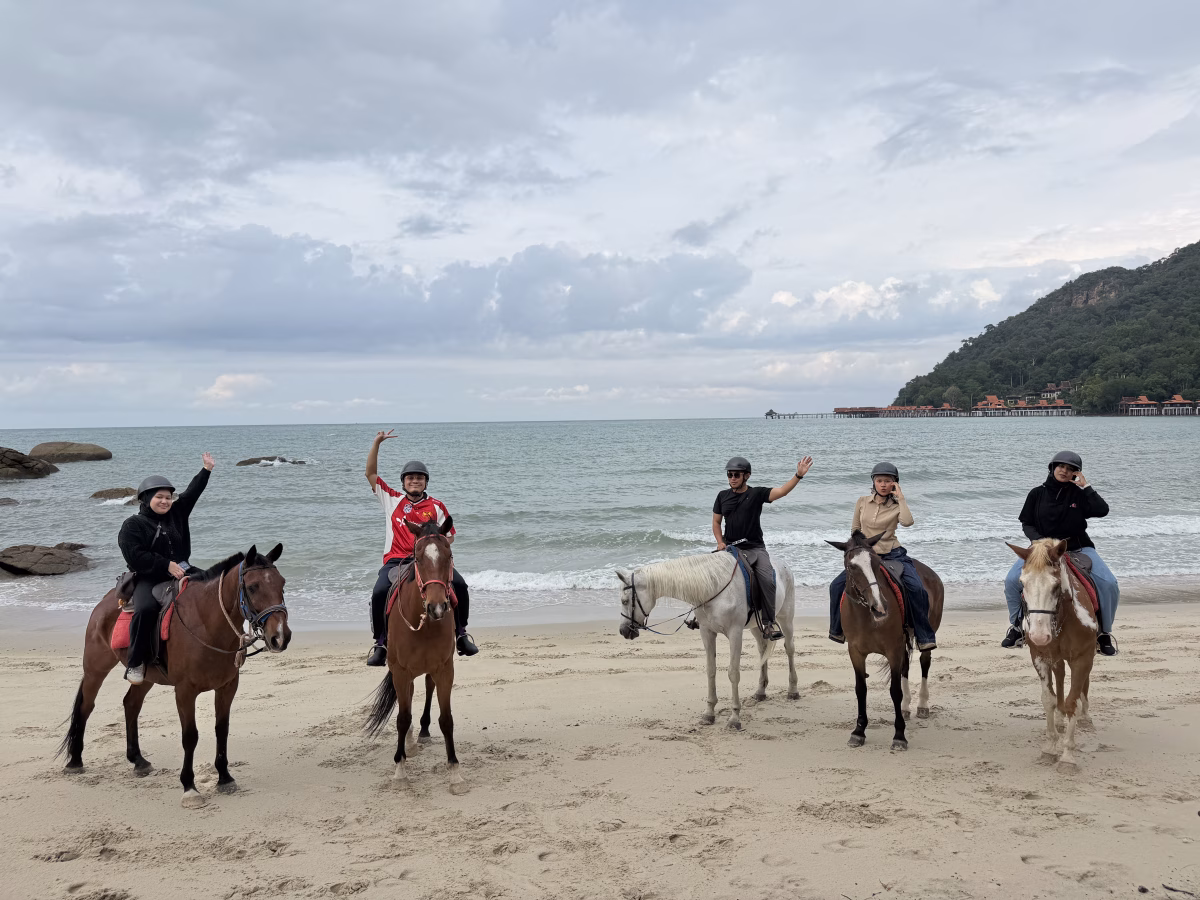 Island Horses Langkawi