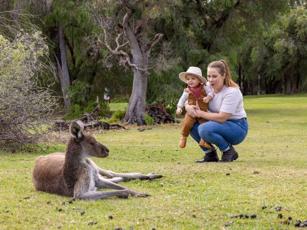 Yanchep National Park, Yanchep. Credits to TWA Image Gallery