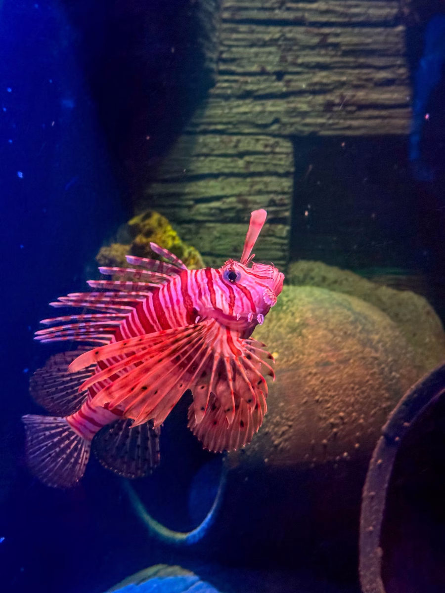 SEA LIFE Oberhausen