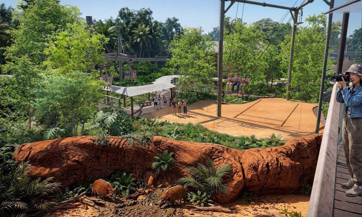Experience the sensation of weightless flight on the Ravine Swing, soaring eight metres above the ground and taking in sweeping views of the habitats of the eastern bongo and red river hog. Photo credit: Mandai Wildlife Group