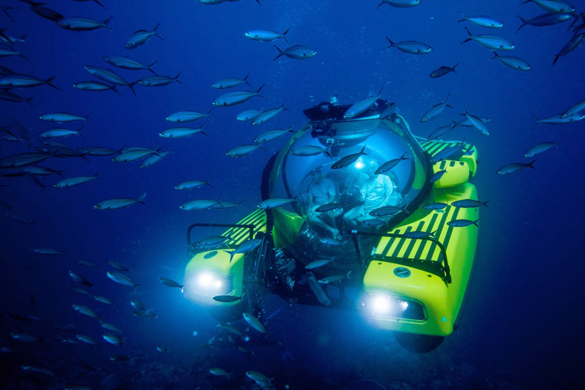 OceanX's state-of-the-art research vessel, OceanXplorer. (Credit to OceanX)