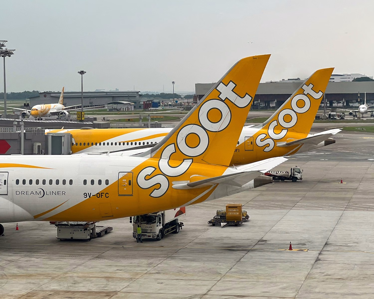 A yellow and white plane is parked at an airport