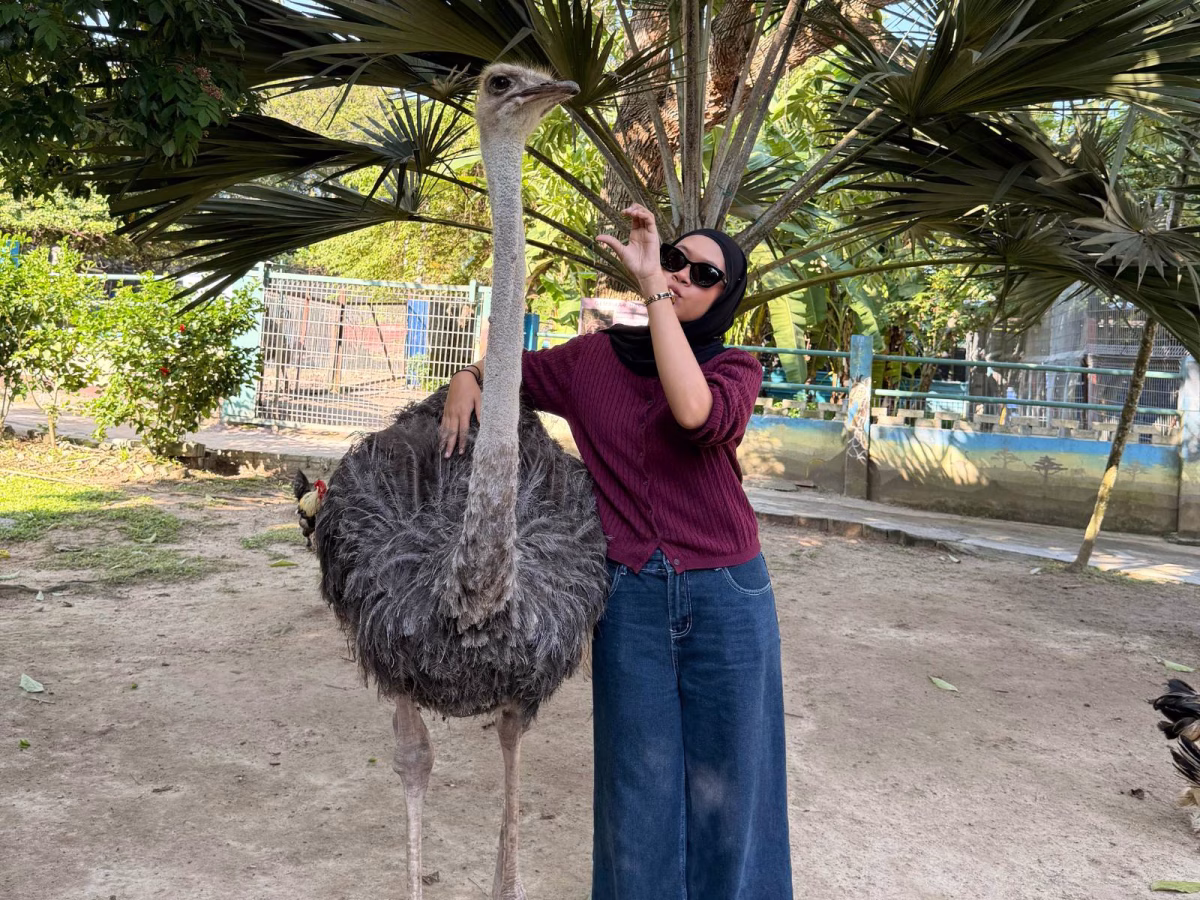 PD Ostrich Farm