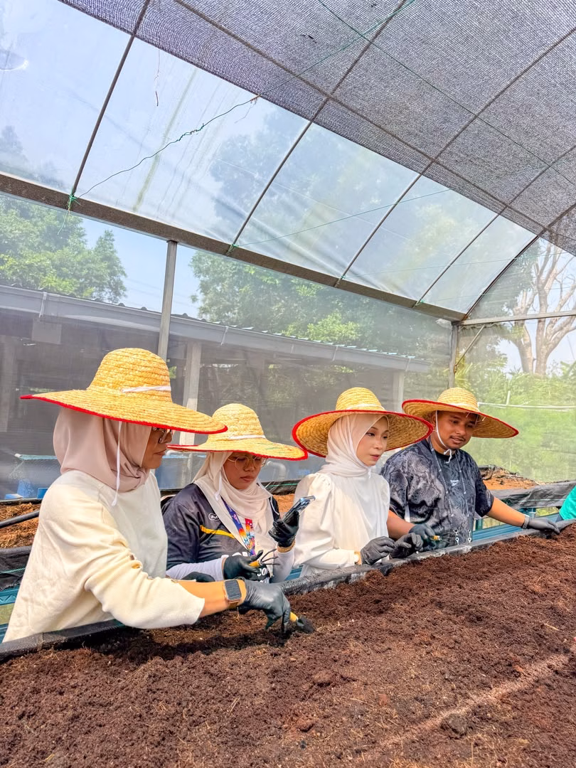 Visitors taking part in urban farming activities at Kebun Komuniti Palatium Bukit Bandaraya, Shah Alam