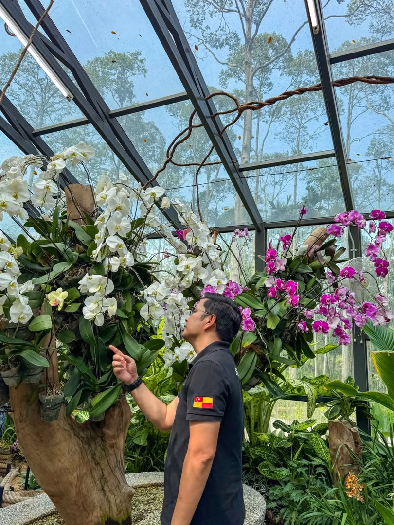Orchids on display inside the glasshouse at Taman Anggerik Shah Alam, Selangor.
